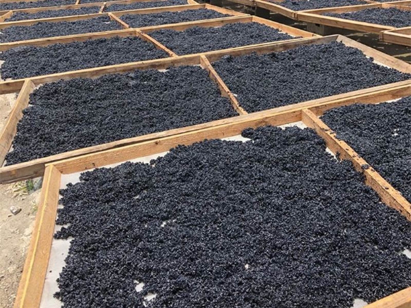 空氣能烘干機投入使用