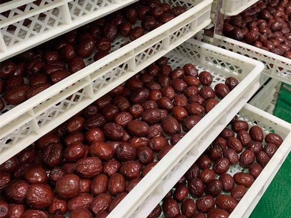 烘干機烘干果蔬